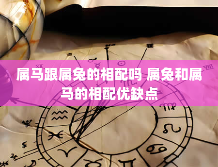 属马跟属兔的相配吗 属兔和属马的相配优缺点
