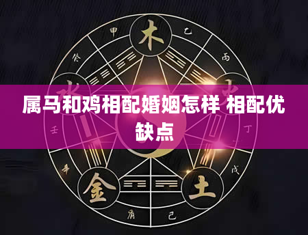 属马和鸡相配婚姻怎样 相配优缺点