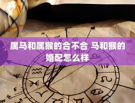 属马和属猴的合不合 马和猴的婚配怎么样