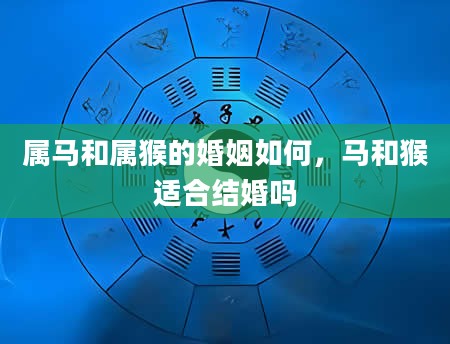 属马和属猴的婚姻如何，马和猴适合结婚吗