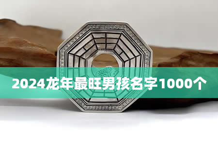 2024龙年最旺男孩名字1000个