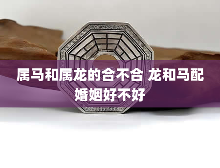 属马和属龙的合不合 龙和马配婚姻好不好