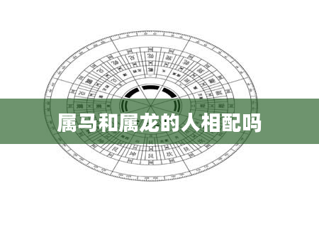 属马和属龙的人相配吗
