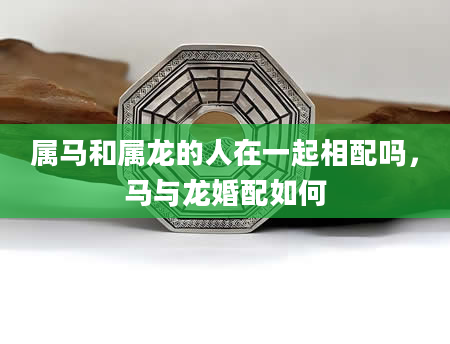 属马和属龙的人在一起相配吗，马与龙婚配如何