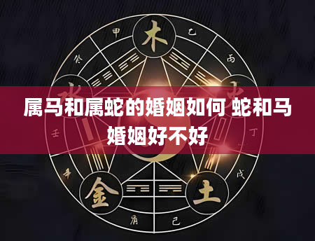 属马和属蛇的婚姻如何 蛇和马婚姻好不好