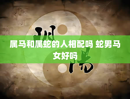 属马和属蛇的人相配吗 蛇男马女好吗