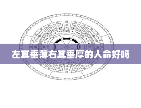 左耳垂薄右耳垂厚的人命好吗