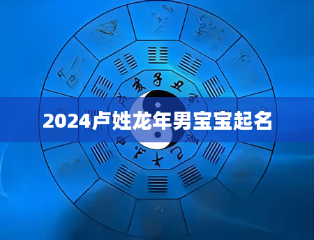 2024卢姓龙年男宝宝起名