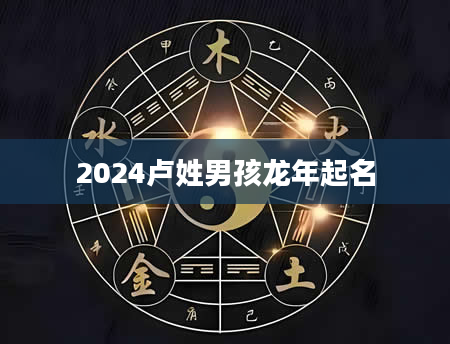 2024卢姓男孩龙年起名