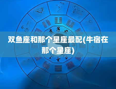 双鱼座和那个星座最配(牛宿在那个星座)