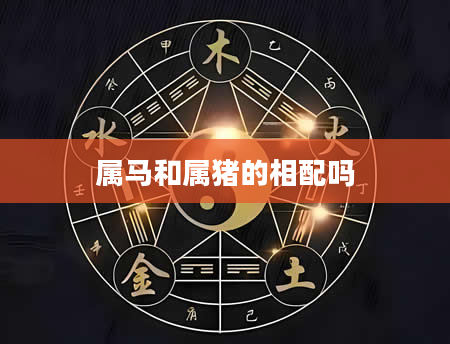 属马和属猪的相配吗