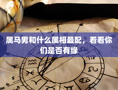 属马男和什么属相最配，看看你们是否有缘