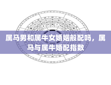 属马男和属牛女婚姻般配吗，属马与属牛婚配指数