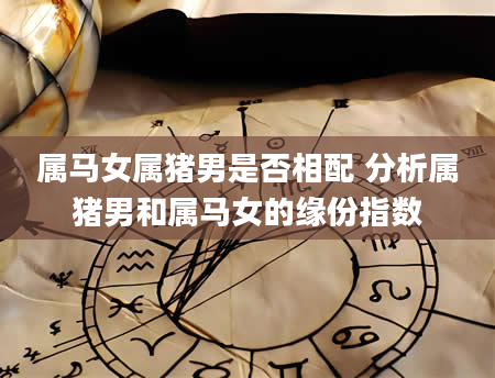 属马女属猪男是否相配 分析属猪男和属马女的缘份指数