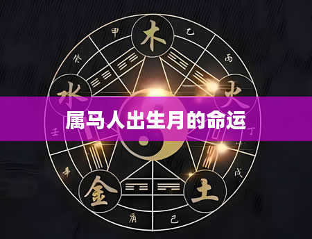 属马人出生月的命运