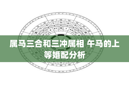 属马三合和三冲属相 午马的上等婚配分析
