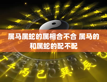 属马属蛇的属相合不合 属马的和属蛇的配不配