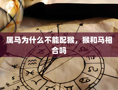 属马为什么不能配猴，猴和马相合吗