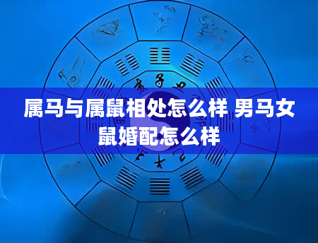 属马与属鼠相处怎么样 男马女鼠婚配怎么样