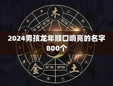 2024男孩龙年顺口响亮的名字800个