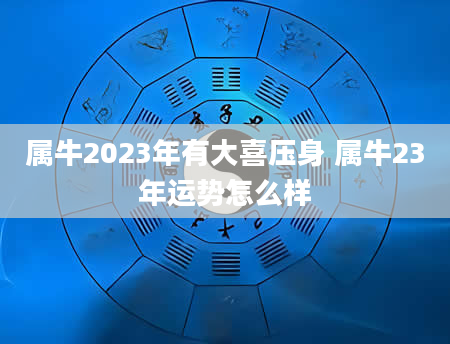 属牛2023年有大喜压身 属牛23年运势怎么样