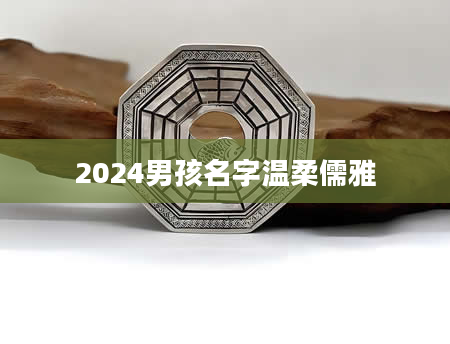 2024男孩名字温柔儒雅