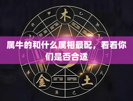 属牛的和什么属相最配，看看你们是否合适