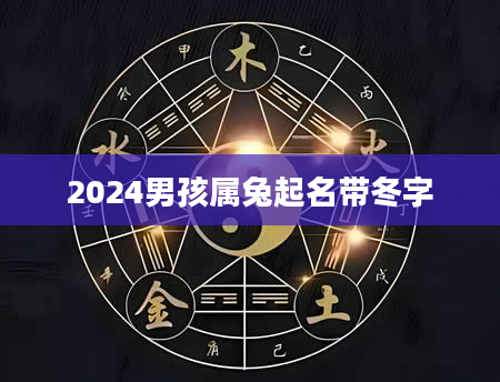 2024男孩属兔起名带冬字