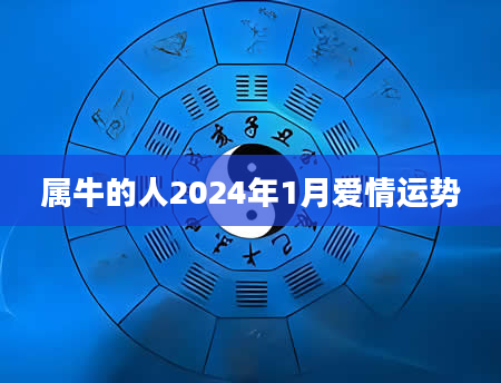 属牛的人2024年1月爱情运势