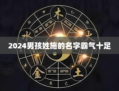 2024男孩姓施的名字霸气十足