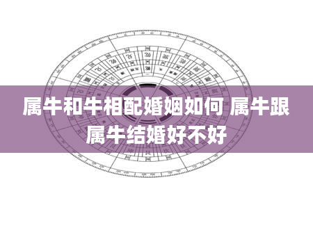 属牛和牛相配婚姻如何 属牛跟属牛结婚好不好