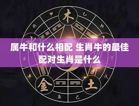 属牛和什么相配 生肖牛的最佳配对生肖是什么