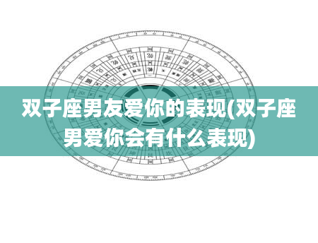 双子座男友爱你的表现(双子座男爱你会有什么表现)