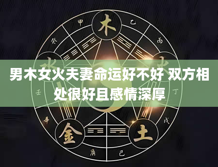 男木女火夫妻命运好不好 双方相处很好且感情深厚