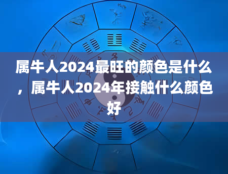 属牛人2024最旺的颜色是什么，属牛人2024年接触什么颜色好