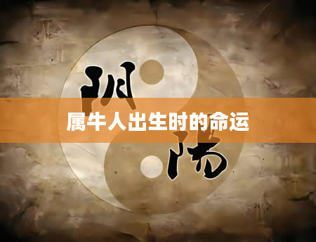 属牛人出生时的命运