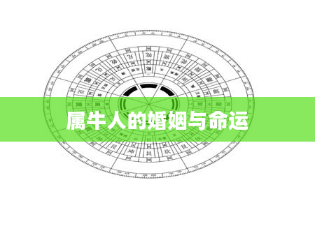 属牛人的婚姻与命运
