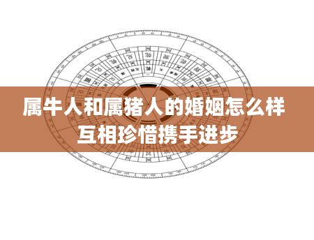 属牛人和属猪人的婚姻怎么样 互相珍惜携手进步