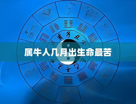 属牛人几月出生命最苦