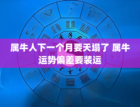 属牛人下一个月要天塌了 属牛运势偏差要装运