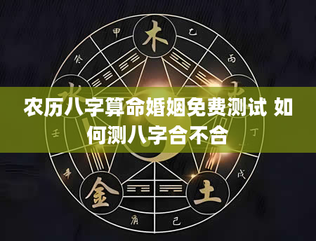 农历八字算命婚姻免费测试 如何测八字合不合