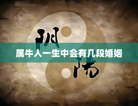 属牛人一生中会有几段婚姻