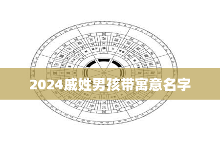 2024戚姓男孩带寓意名字