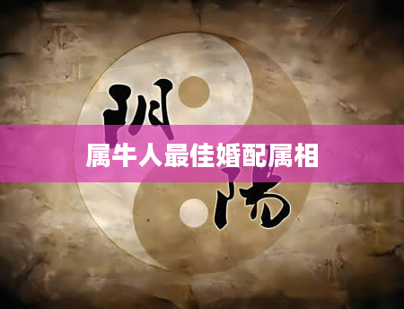 属牛人最佳婚配属相