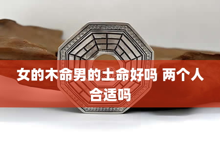 女的木命男的土命好吗 两个人合适吗