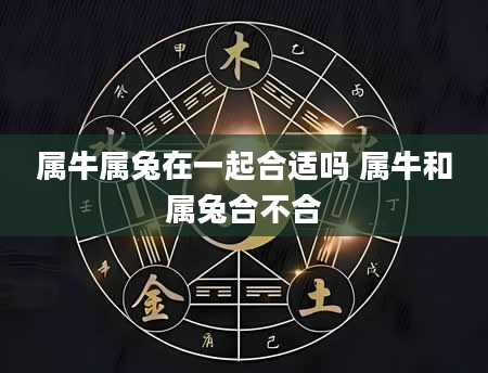 属牛属兔在一起合适吗 属牛和属兔合不合