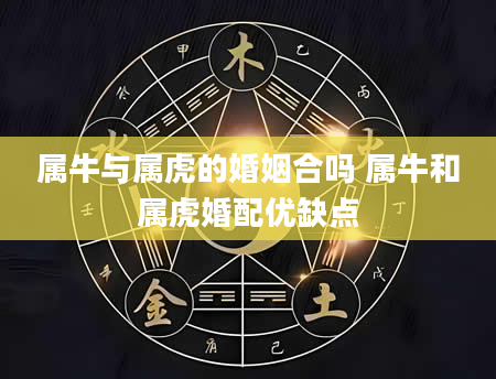 属牛与属虎的婚姻合吗 属牛和属虎婚配优缺点