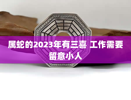 属蛇的2023年有三喜 工作需要留意小人