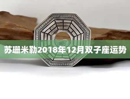 苏珊米勒2018年12月双子座运势