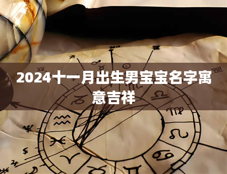 2024十一月出生男宝宝名字寓意吉祥